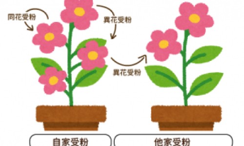 橙子的含量是什么-权威橙子热量高吗易长胖吗平台,分享专业橙子热量高吗减肥能吃吗知识_橙子脂肪含量网
